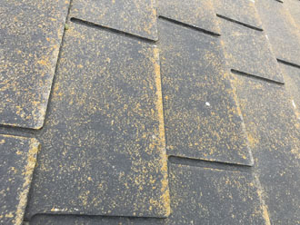 我孫子市湖北台でコロニアル屋根に藻が発生、遮熱塗料のサーモアイを使用した屋根塗装をご提案