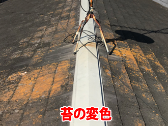屋根の苔問題に悩んでいる方へ、効果的な塗装工事で屋根材を守りましょう！