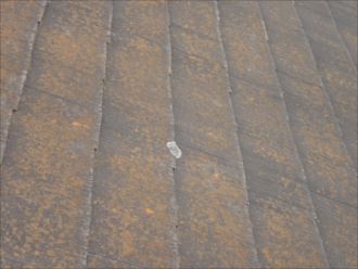 千葉市花見川区み春野で屋根のご相談、築12年初めての屋根塗装工事をご検討