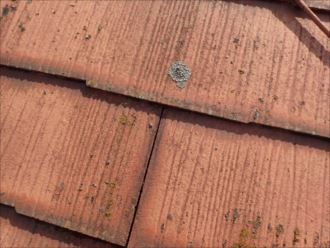 八千代市勝田台南の屋根調査、屋根色の変色が気になり屋根塗装工事をご検討
