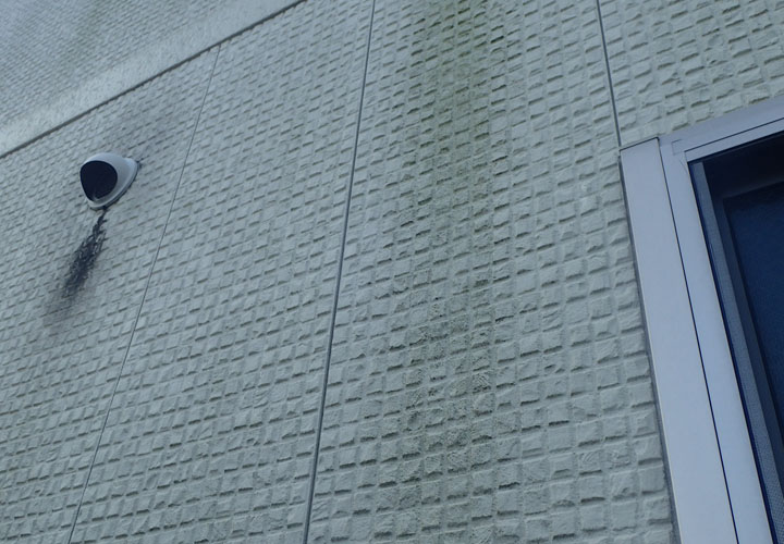 君津市北子安で意匠性の高いサイディング外壁には苔が発生し目地のシーリング材も傷んでいました