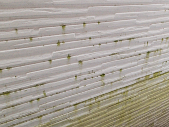 市原市辰巳台にて塗膜が劣化して藻が繁殖した窯業サイディング外壁に、パーフェクトトップによる塗装をおすすめ