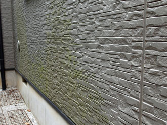 富津市二間塚で築15年になる邸宅の窯業系サイディング外壁に藻が発生、パーフェクトトップでの外壁塗装をご提案