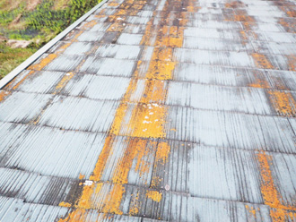 香取郡多古町多古にて化粧スレート屋根の調査、苔が繁殖した屋根にはファインパーフェクトベストによる塗装工事をおすすめ