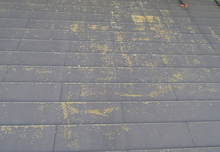 富里市十倉で化粧スレートに藻が発生、遮熱塗料のサーモアイSiを使用した屋根塗装をご提案