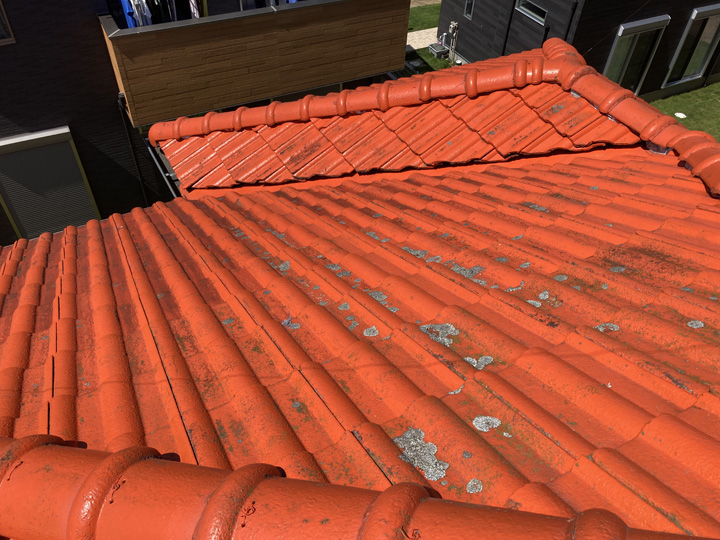 八街市泉台にて屋根に生えたコケについてのご相談、屋根塗装をご提案しました