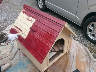 富津市　犬小屋の塗装