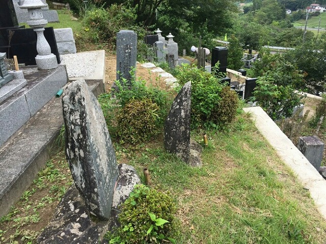 墓地の雑草