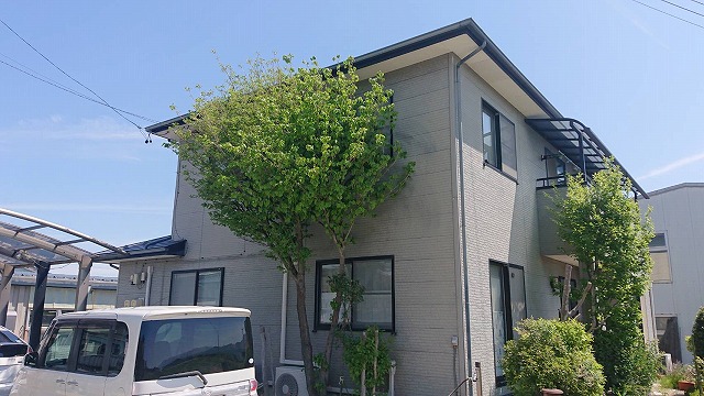 上伊那郡飯島町：植栽と外壁が干渉している住宅の塗装工事