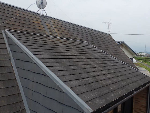 岐阜市で折板屋根のネジのサビやスレート屋根の藻と外壁のシーリング劣化が気になる現場の現地調査