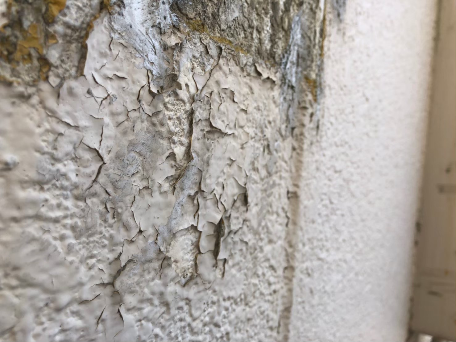 岐阜県でシャッター枠部分や外壁の塗膜がベリベリに剥がれてしまっている現場