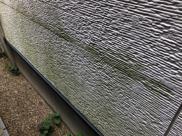 岐阜市で大量の藻が生えてしまった外壁やベランダの現地調査に伺いました