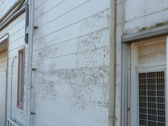 千葉県木更津市　3号棟外壁点検　外壁の汚れ　苔の発生