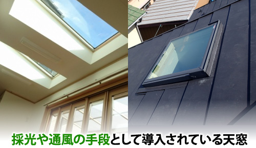 採光や通風の手段として導入されている天窓
