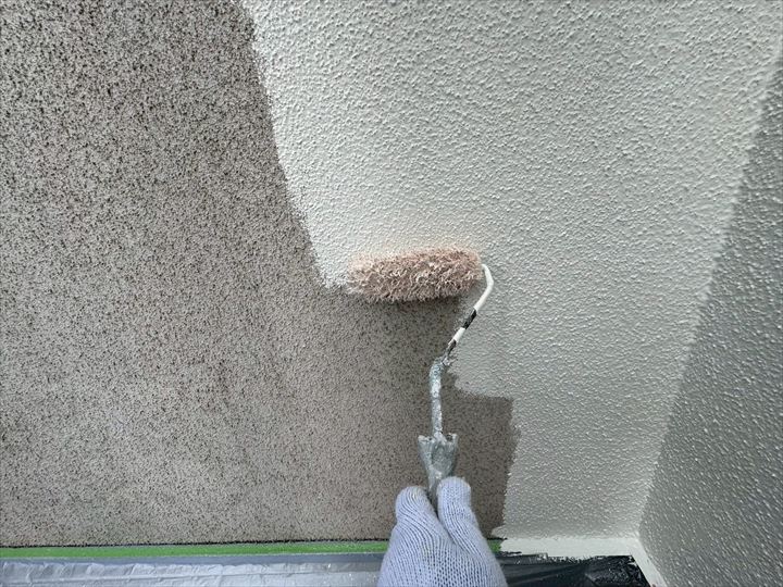 ダンネスト