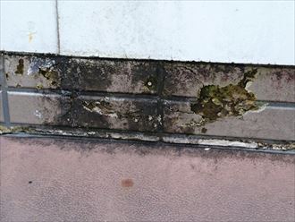 サイディング外壁の吸水・腐蝕
