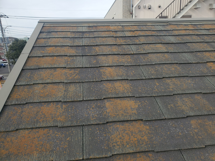 スレート屋根塗装前の必須チェックポイントと苔、ひび割れ、釘抜けの対策