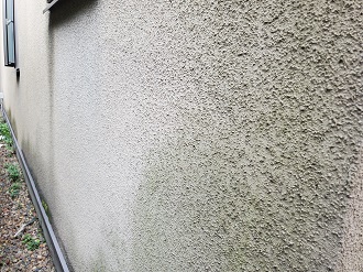 苔の生えた外壁