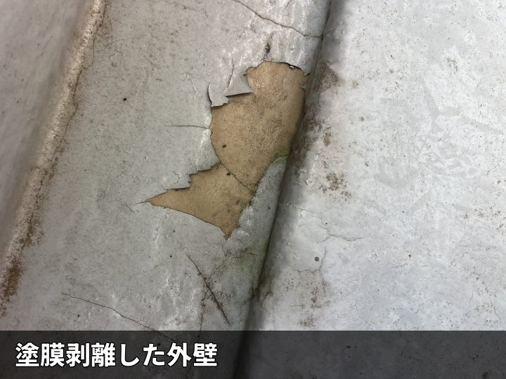 立ち上がりの塗膜剥離