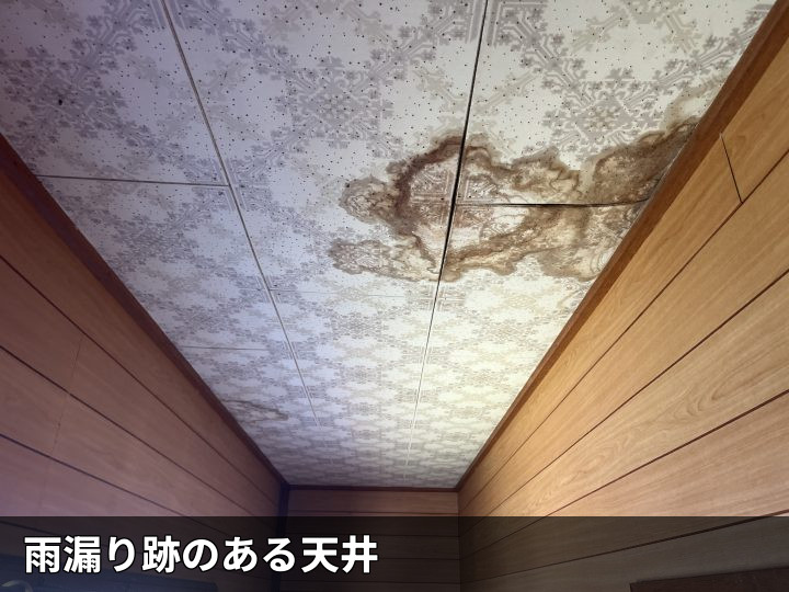 木更津市畑沢で雨漏り現地調査、天井の広い染みとひび割れた屋上防水を確認