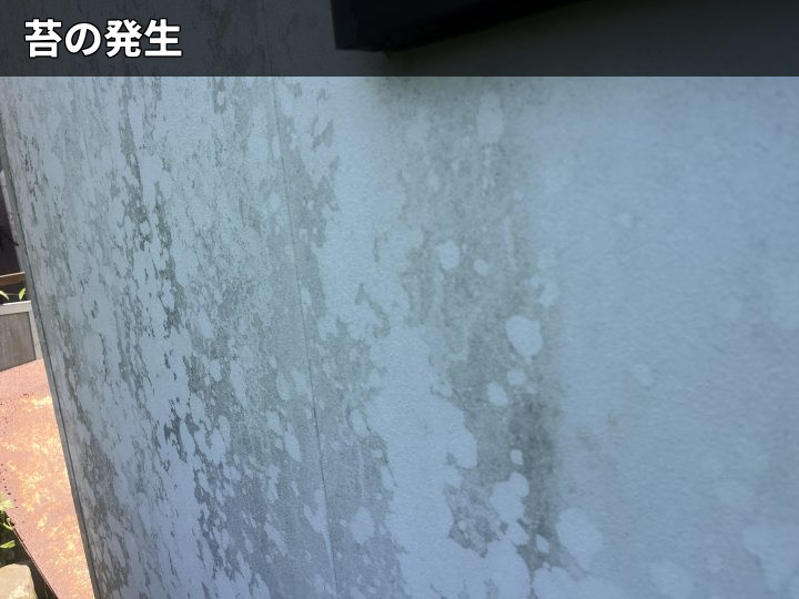 大網白里市大網で外壁塗装を検討中の建物を調査、モルタル外壁の汚れとサイディングの苔を確認