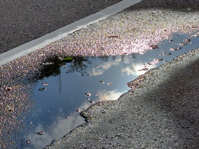 雨上がりの水溜まり