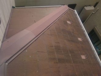 屋根塗装前の屋根　下屋　苔・藻の発生