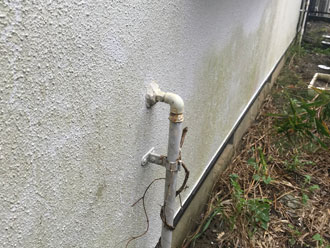 苔の発生