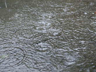 雨