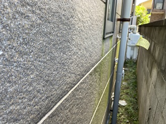 品川区上大崎で緑の苔が目立つ外壁を無料点検