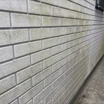 外壁に苔の発生