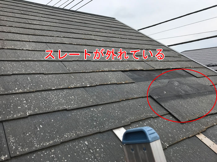 川崎市多摩区宿河原の屋根塗装工事前の点検と提案、脱落・苔・ひび割れのリスクと解決策