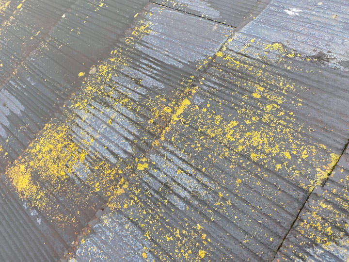 東大和市清水で屋根塗装工事を実施しました！気になる費用や使用塗料も紹介します！