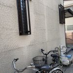 苔や藻の発生