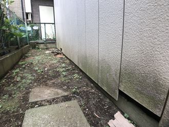 外壁のコケ