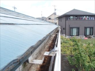 市原市今津朝山　苔の付着