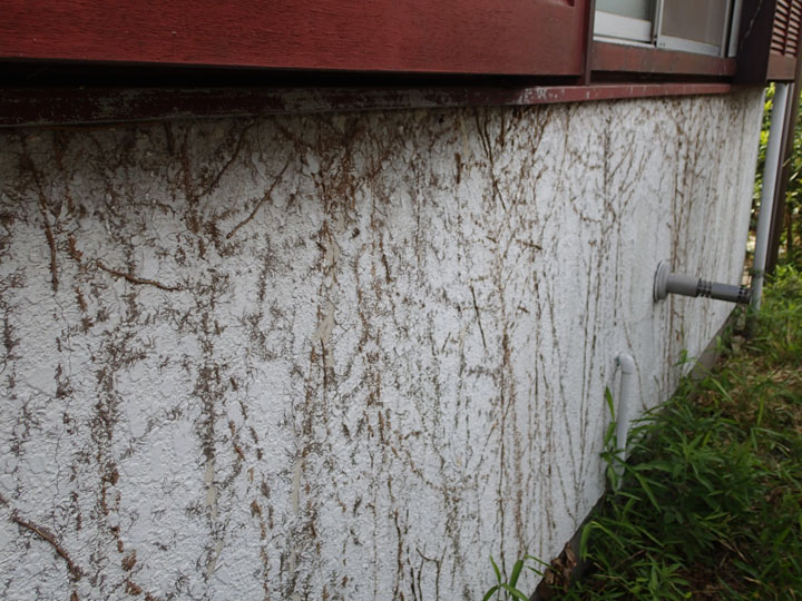 蔦が外壁を覆ってしまった場合の適切な除去方法|君津市