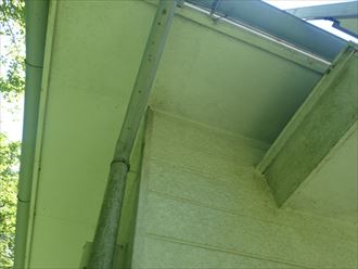 富津市佐貫の外壁調査、苔の発生が著しく起き外壁メンテナンスとしての外壁塗装工事