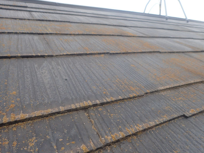 大田区大森中の屋根塗装 |屋根塗装の縁切りと谷板金の雨漏り対策 | 下屋の調査ポイントも解説