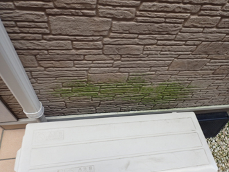 エアコンの裏の外壁に藻が発生