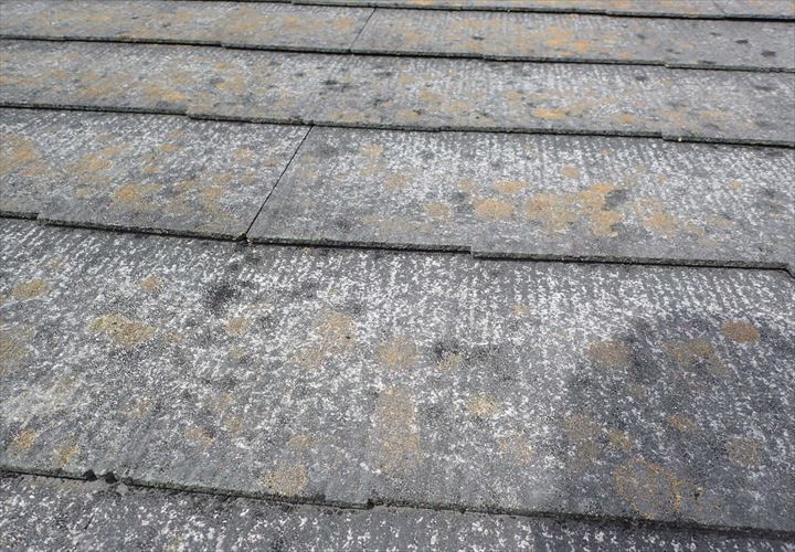 富津市　屋根材の素地の露出