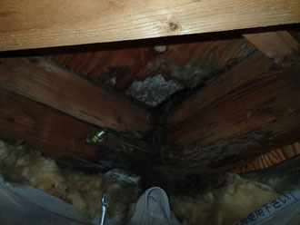 天井内の木材はかなり腐食してしまっていました