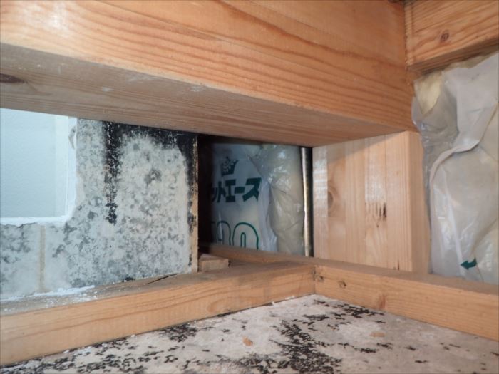 カビだらけになった屋根裏