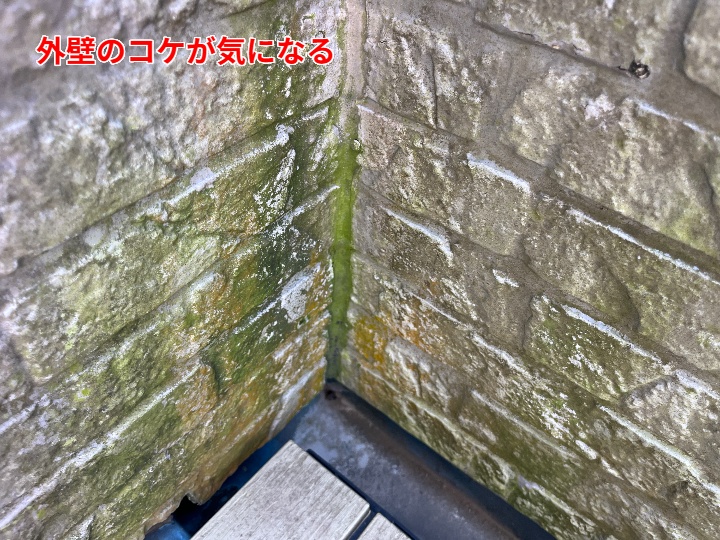 苔などが気になる