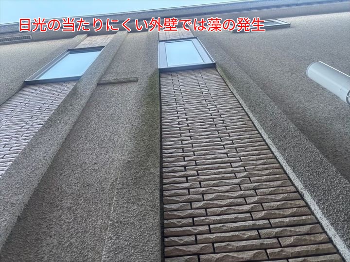 外壁塗装のタイミングを見極める！劣化サインと適切なメンテナンス時期