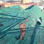 劣化が進行し水分でグズグズになった防水紙