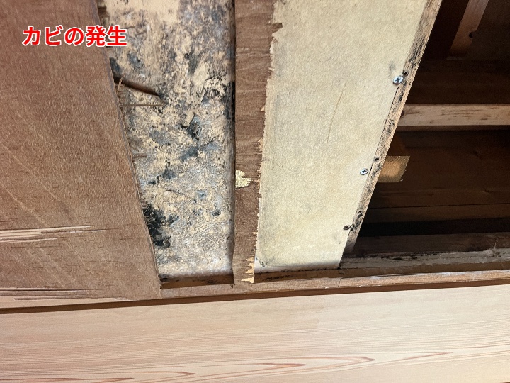 カビの発生
