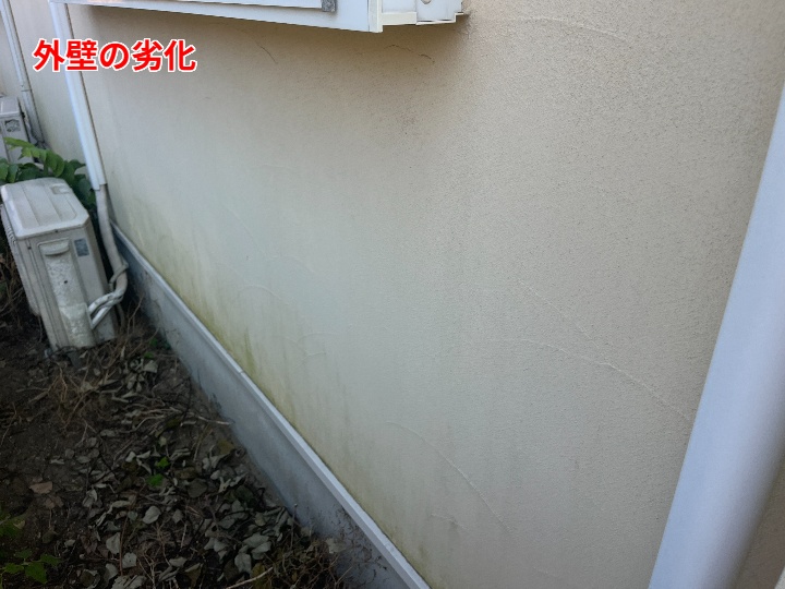 藻の発生