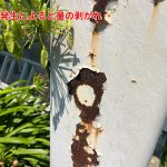 塗料の剥がれ