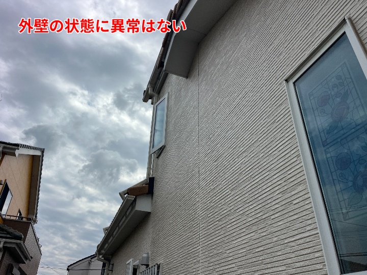 外壁のコケが気になる方へ｜市原市姉崎で行った外壁調査と対策方法